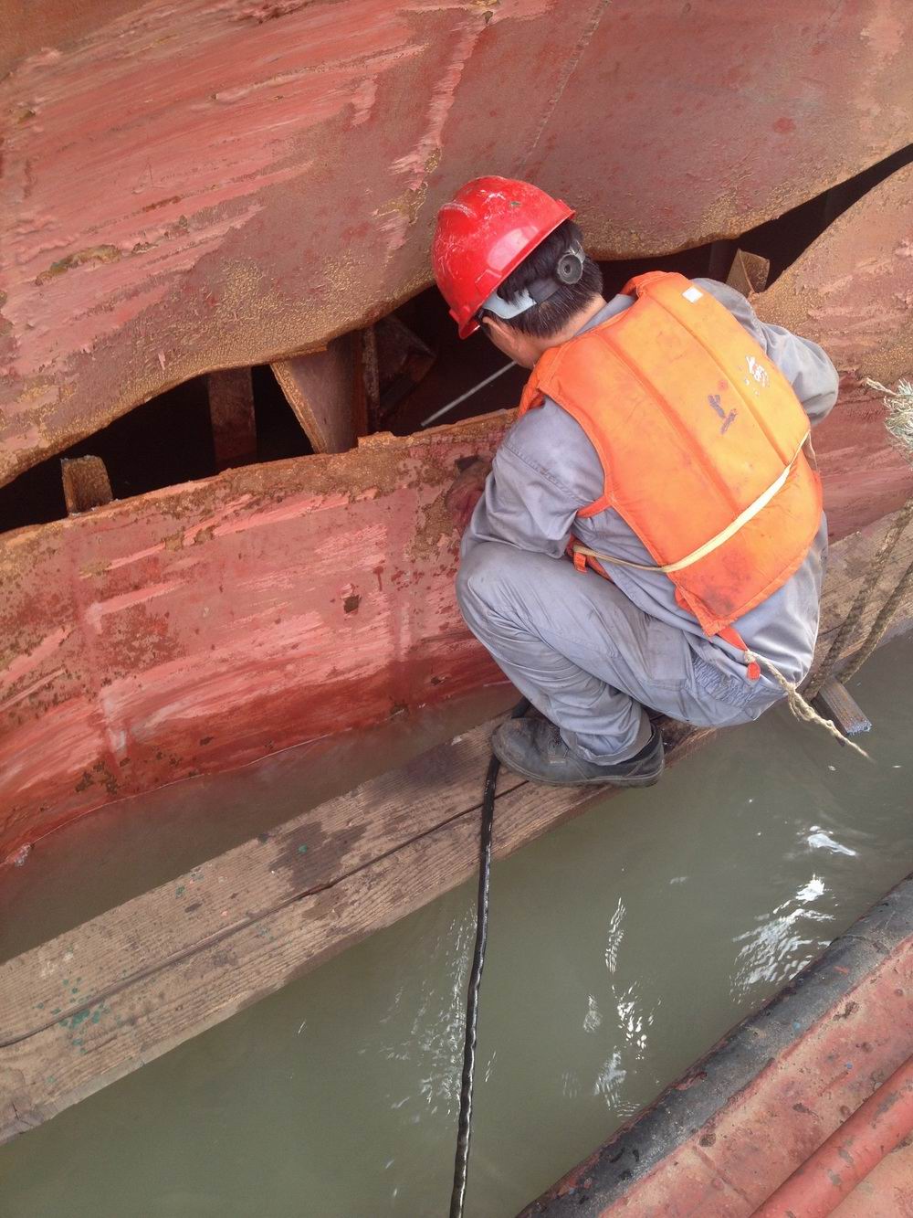 2015��8�½��������w���