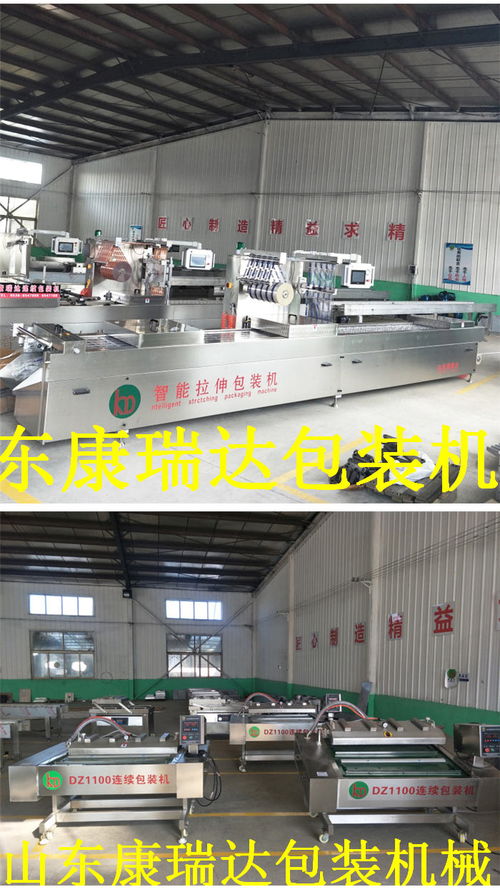 鴨脖全自動連續(xù)真空包裝機(jī)哪家好 山東康瑞達(dá) 誠信商家